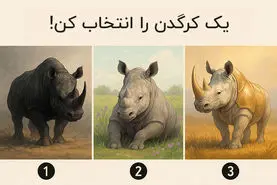تست شخصیت شناسی : یک کرگدن را انتخاب کنید تا ویژگی شخصیتی شما را آشکار کنیم!