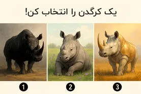 تست شخصیت شناسی : یک کرگدن را انتخاب کنید تا ویژگی شخصیتی شما را آشکار کنیم!