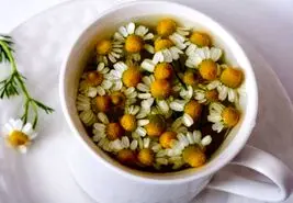 فواید بی نظیر بابونه برای معده و دستگاه گوارش