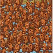 بازی فکری : 95% مردم نتوانستن در 7 ثانیه 3 تا سگ آبی متفاوت و پیدا کنند !