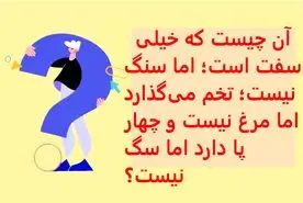 چیستان روز | سفت است؛ اما سنگ نیست؛ تخم می‌گذارد اما مرغ نیست، چهار پا دارد اما سگ نیست؟