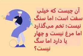 چیستان روز | سفت است؛ اما سنگ نیست؛ تخم می‌گذارد اما مرغ نیست، چهار پا دارد اما سگ نیست؟