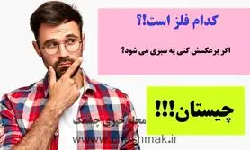چیستان روز | کدام فلز است که اگه برعکسش کنید یک سبزی می شود؟

