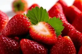 با این مواد غذایی دیگر پیر نمی شوید | اگر می خواهید همیشه جوان بمانید این غذاها را بخورید 
