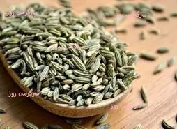 گیاهی برای همه دردهای زنانه! معجزه رازیانه برای زنان: درمانی طبیعی برای رحم، قاعدگی و یائسگی