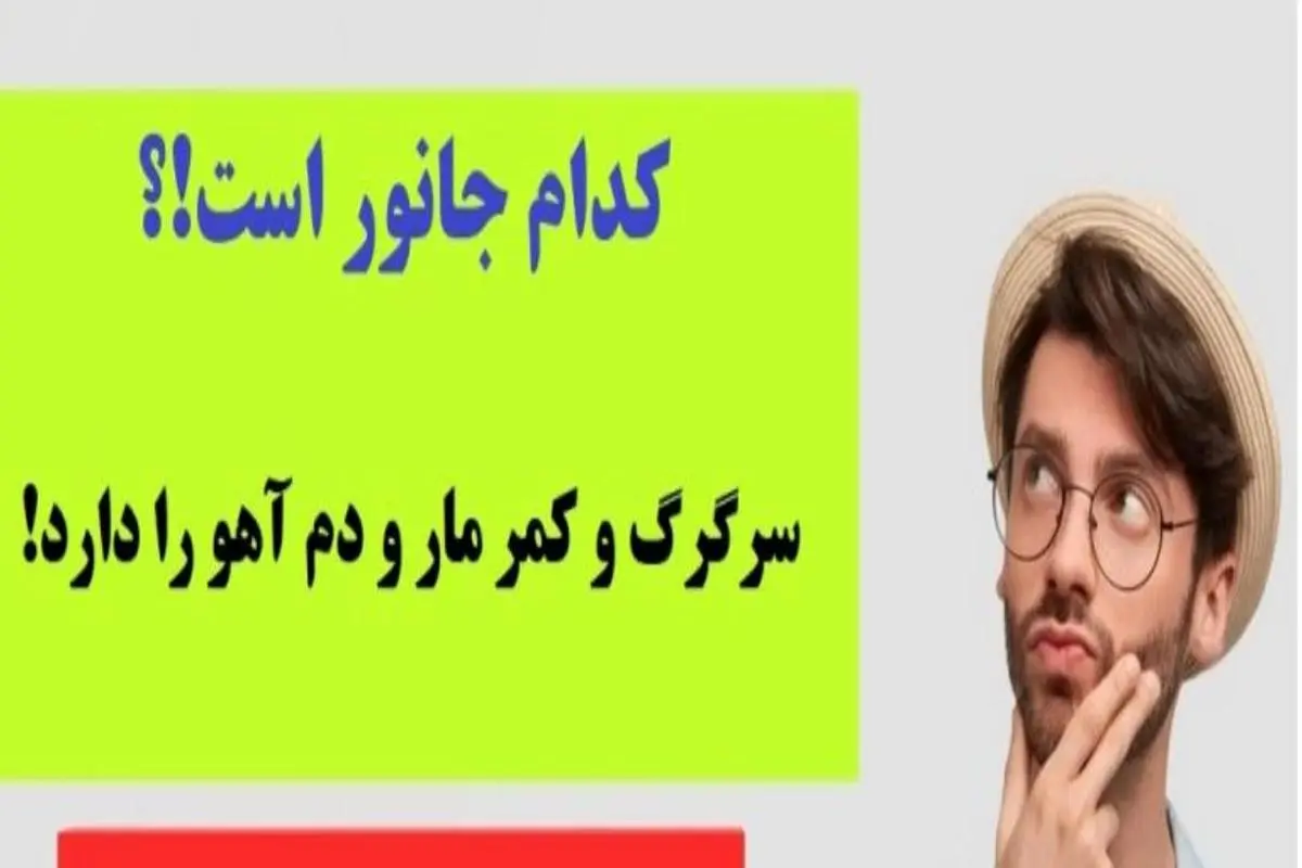 چیستان سخت | کدام جانور است که سرگرگ و کمر مار و دم آهو را دارد!؟