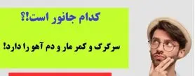 چیستان سخت | کدام جانور است که سرگرگ و کمر مار و دم آهو را دارد!؟