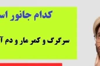 چیستان سخت | کدام جانور است که سرگرگ و کمر مار و دم آهو را دارد!؟