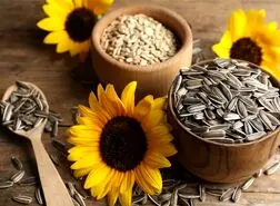 این دانه خوشمزه مخصوص کسایی هست که زیاد با گوشی کار میکنن و تو فضای مجازی هستند