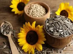 این دانه خوشمزه مخصوص کسایی هست که زیاد با گوشی کار میکنن و تو فضای مجازی هستند