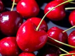 بهبود عملکرد کبد ، کلیه و مثانه و کاهش درد ماهیچه با این میوه تابستانی