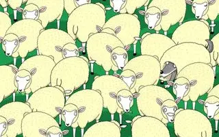 بازی فکری : فقط اونایی که ضریب هوشی ۱۳۰ دارن می تونن گرگ پنهان را پیدا کنند!