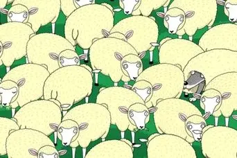 بازی فکری : فقط اونایی که ضریب هوشی ۱۳۰ دارن می تونن گرگ پنهان را پیدا کنند!