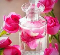  نوشیدن آب را با این افزودنی میل کنید تا معده و قلب و کبد و اعصاب تان 120 سال منظم کار کند 