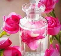  نوشیدن آب را با این افزودنی میل کنید تا معده و قلب و کبد و اعصاب تان 120 سال منظم کار کند 