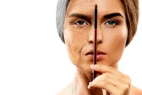 این افراد زودتر پیر می شوند | محققان مجارستانی راه جلوگیری از پیر شدن را کشف کردند