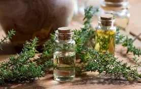  گیاه پادشاهی که قاتل مستقیم افسردگی ، عصبانیت ، فشار خون و چربی خون و بی خوابی است 