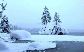 بازی فکری : حتی کاشفان چیره دست هم نمی توانند در عرض ۱۱ ثانیه خرس قطبی را تشخیص دهند!