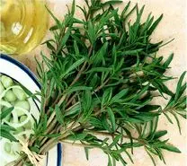 این گیاه شفابخش ایرانی ضد درد و ضد عفونت است | کمک به هضم آسان غذا و لاغری و تناسب اندام