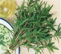 این گیاه شفابخش ایرانی ضد درد و ضد عفونت است | کمک به هضم آسان غذا و لاغری و تناسب اندام