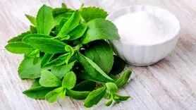  این گیاه یک جایگزین سالم برای قند مصنوعی 