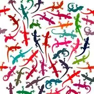 بازی فکری : فقط اونایی که دید تیزبینی دارن تو 4 ثانیه مارمولک متفاوت و پیدا می کنن!