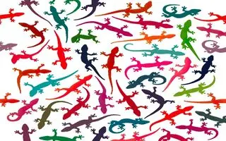 بازی فکری : فقط اونایی که دید تیزبینی دارن تو 4 ثانیه مارمولک متفاوت و پیدا می کنن!