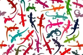 بازی فکری : فقط اونایی که دید تیزبینی دارن تو 4 ثانیه مارمولک متفاوت و پیدا می کنن!