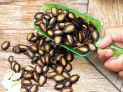 با تخمه این میوه هوشتو 1000 کن