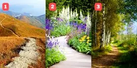 طالع بینی | یک مسیر انتخاب کن تا راه درست زندگی رو بگم
