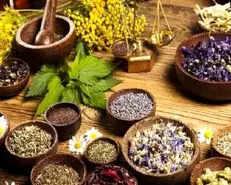 با این گیاهان معجزه آسا،قاروقور شکمتان تمام میشود!