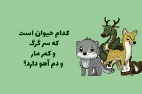 چیستان روز | کدام حیوان است که سر گرگ، کمر مار و دم آهو دارد؟

