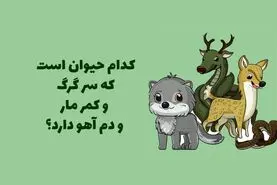 چیستان روز | کدام حیوان است که سر گرگ، کمر مار و دم آهو دارد؟

