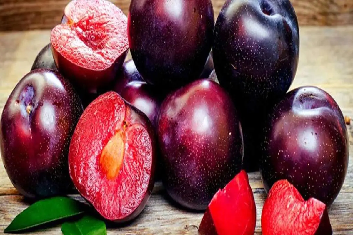 معجزه تابستانی: رفع عطش و ۱۰ خاصیت شگفت‌انگیز آلو سیاه برای سلامت بدن