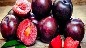 معجزه تابستانی: رفع عطش و ۱۰ خاصیت شگفتانگیز آلو سیاه برای سلامت بدن