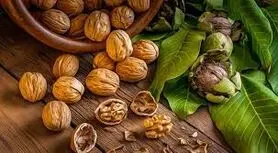  مصرف این دانه در صبح معده و کلیه و گوارش و کبد شما را 30 سال جوان می کند + لاغری آسان 