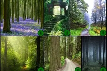 تست شخصیت شناسی: با انتخاب یک مسیر بفهمید چقدر شوخ طبع هستید!