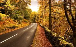 معرفی بهترین مقصد و زیباترین جا برای سفر پاییزی در یکروز ؛دریاچه ی جنگلی چورت