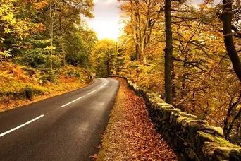 معرفی بهترین مقصد و زیباترین جا برای سفر پاییزی در یکروز ؛دریاچه ی جنگلی چورت