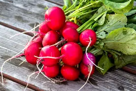 خواص برگ این صیفی در طب سنتی طوفان میکنه