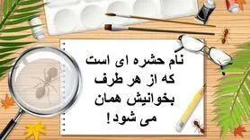 چیستان روز | نام حشره ای است که از هر طرف بخوانیش همان می شود!