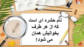 چیستان روز | نام حشره ای است که از هر طرف بخوانیش همان می شود!
