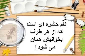 چیستان روز | نام حشره ای است که از هر طرف بخوانیش همان می شود!