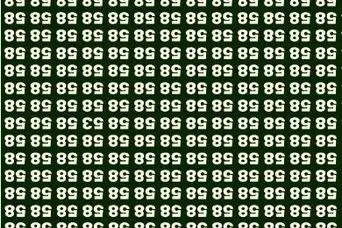 بازی فکری:حتی افرادی با ضریب هوشی بالا و انیشتینی هم نمی‌توانند در کمتر از 7 ثانیه 53 را در میان اعداد 58 را پیدا کنند