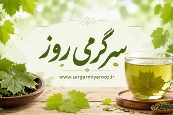 تا فصلش هست امتحان کن | دمنوش برگ مو؛ نوشیدنی گیاهی متفاوت با خواص آرام‌بخش