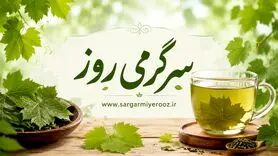 تا فصلش هست امتحان کن | دمنوش برگ مو؛ نوشیدنی گیاهی متفاوت با خواص آرام‌بخش