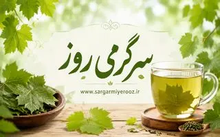 تا فصلش هست امتحان کن | دمنوش برگ مو؛ نوشیدنی گیاهی متفاوت با خواص آرام‌بخش