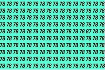 بازی فکری؛ فقط ۳٪ از افرادی که بینایی ۴K دارند میتونن عدد «۸۷» بین «۷۸» ها پیدا کنن!