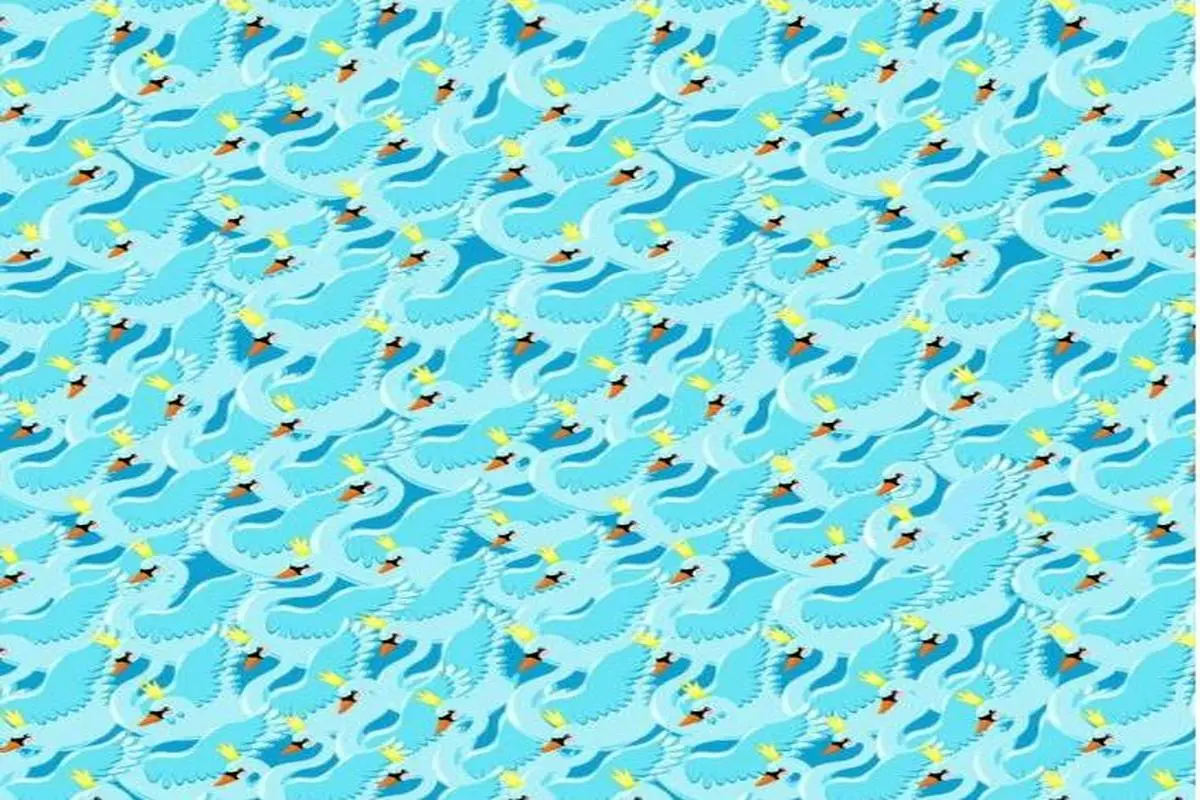 بازی فکری : هیچ‌کس نمی‌تواند آن را حل کند! برای پیدا کردن قو متفاوت در ۶ ثانیه به آی‌کیو ۱۳۰ نیاز است