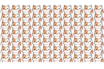 بازی فکری: فقط ۱٪ از مردم می‌توانند گربه پنهان را در ۹ ثانیه پیدا کنند!